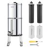 VEVOR Gravity-fed Water Filter System, 2.25G 304 Stainless-Steel Countertop Filtration System, Reduces Lead and up to 99% of Chlorine